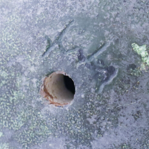 Skärmavbild 2023-09-05 kl. 18.06.14